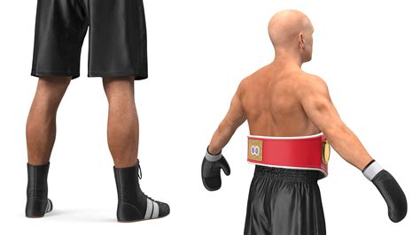 IBF Boxing Champion Rigged 3D Model - TurboSquid 2121995