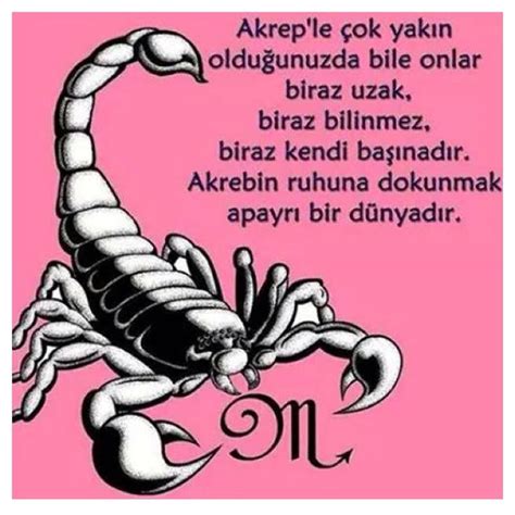 1000+ images about Akrep burcu on Pinterest | Watches