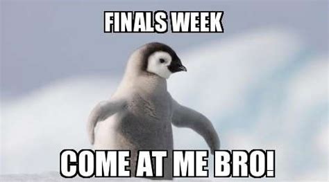 Funny Quotes About College Finals. QuotesGram