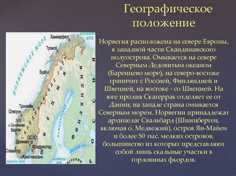 Леса Норвегии - презентация онлайн