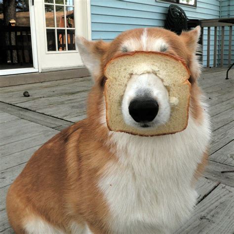 Is This The Dirtiest Hilarious GIF You'll Ever See? (Spoiler: Maybe) Image 14
