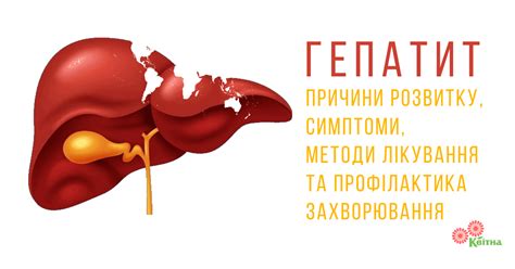 Гепатит: причини розвитку, симптоми, методи лікування та профілактика ...