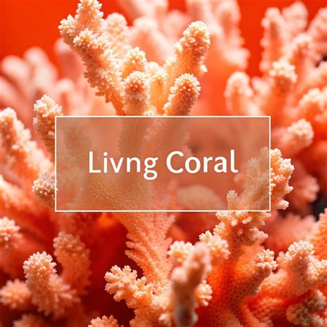 Living Coral Background with Vibrant Color Labels | Premium AI-generated image