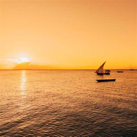 8 Night Zanzibar Holiday Package - Gladiola Adventure