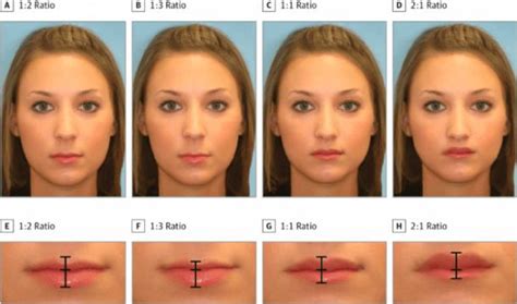 The Most Attractive Lip Shape For Women, According To Science | Lip ...