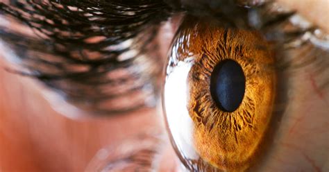 KeraLink International implements 3-prong approach to eliminate corneal ...