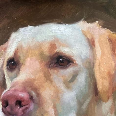 Colorful Labrador Retriever Portrait