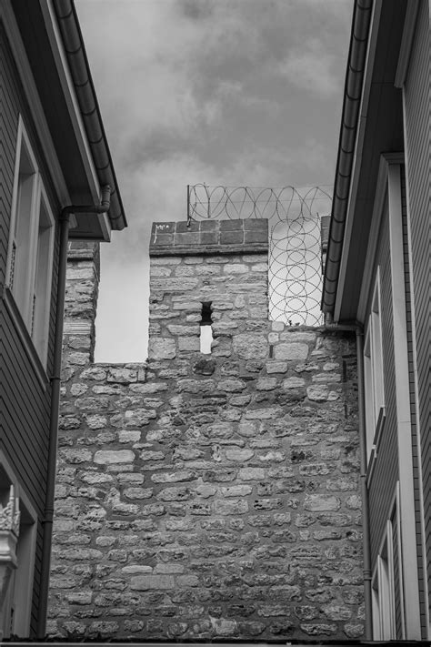 Tawnee Stone Photos, Download The BEST Free Tawnee Stone Stock Photos