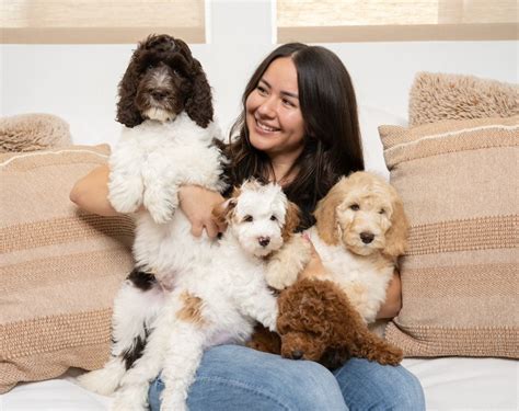 Crafting companionship beyond fur — Windsong Doodles