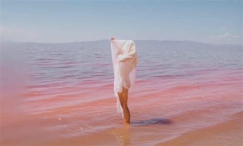 Elevate Your Artistry With SVA Continuing Education — Colossal