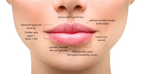 Lips Surgery Kerala at Antonio Fore blog
