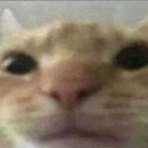 🦄 @nohemyoro - NOHEMY - TikTok