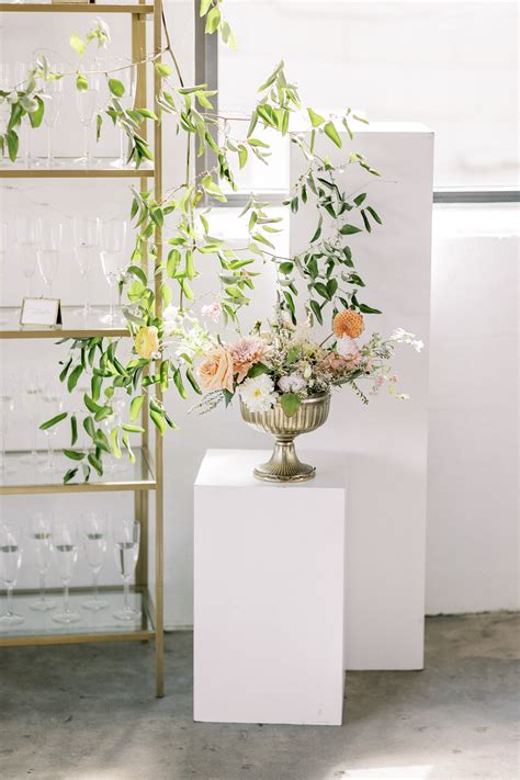 Carissa White Tumblr