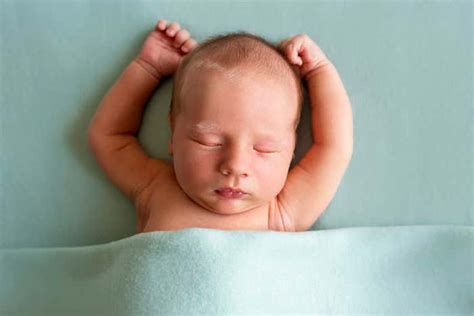 human evolution  scientist