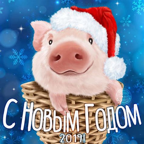 🎄2019 год кого животного [в чем встречать и что готовить]?