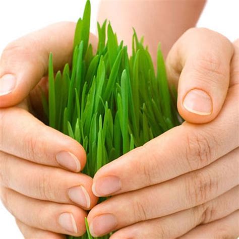 Фунгициди | Agrodimex.com