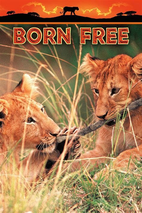 Born Free (1966) - Posters — The Movie Database (TMDB)