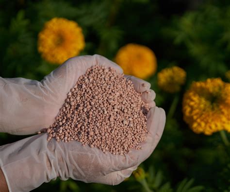 Phosphorus-Free Fertilizer