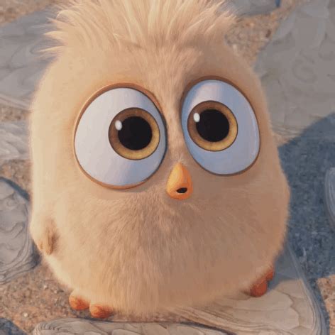 Gif Lustig Gifs Lustige Gesichter Gesichtsausdrucke Animierte | My XXX ...