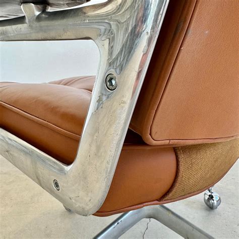 Honoring the Memory of Joseph Eames: Life and Legacy 7