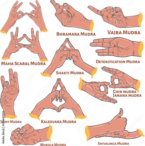 hand mudras   sanskrit