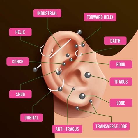 13 Different Types of Ear Piercings [Ear Piercing Chart] | FARUZO ...