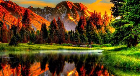 nature  wallpapers wallpaper cave