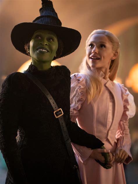 wicked witch of the west costume for adults 8