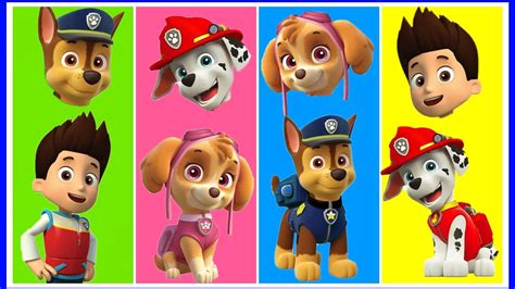 Encontre os Personagens da Patrulha Canina/ Pow Patrol Nursery Rhymes ...