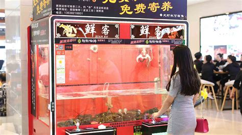 Vending Machine - UKMINDONESIA.ID