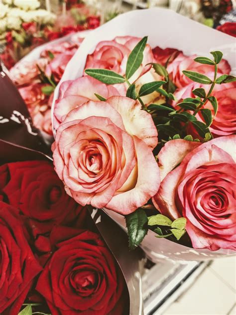 Background With Roses. Bouquet Free Stock Photo - Public Domain Pictures