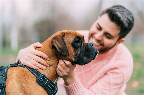 reasons    dog      life    animals