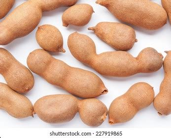 28 Tamar Hindi Images, Stock Photos & Vectors | Shutterstock