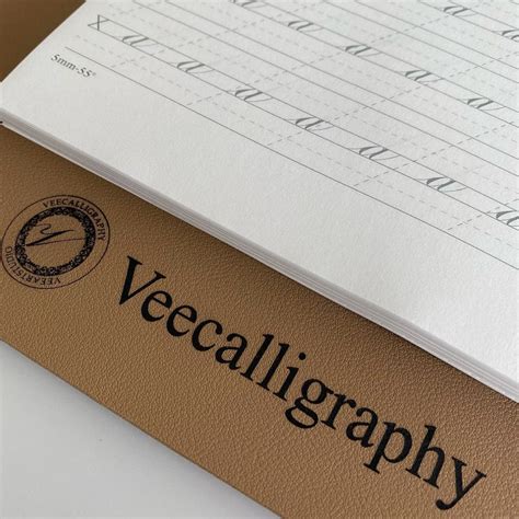 Leonardt Principle EF nib — Veecalligraphy X VeeArtStudio