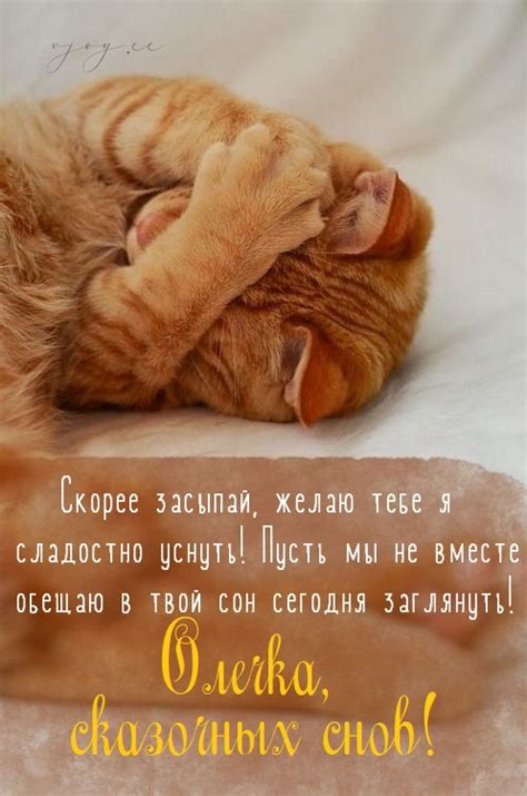 Картинки - Спокойной ночи, Оля! (55 фото)