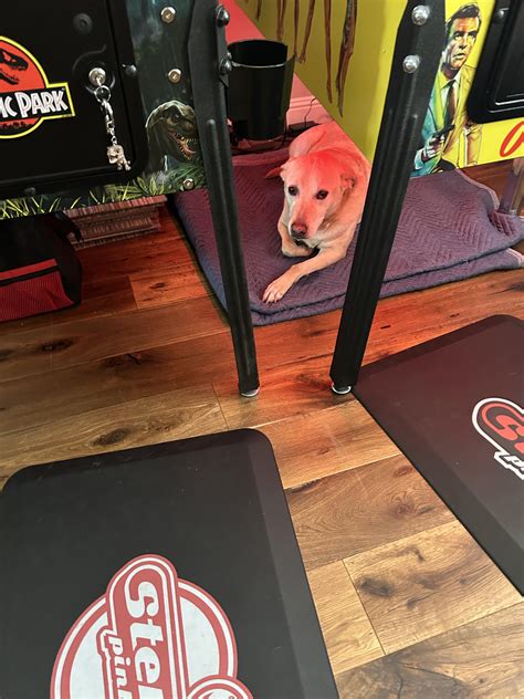 I Infiltrated Nala Fitness. This Is What I Discovered. Image 8