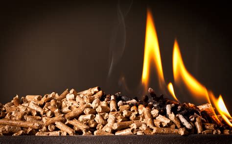 Climate Change Controversy Heats Up on Wood Pellets