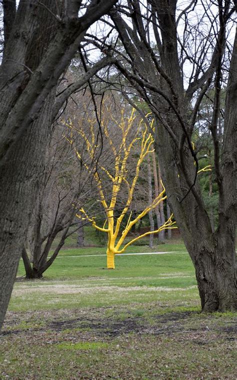philippa lawrence tree art installation installation art land art