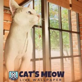 cats meow  wallpaper  androidios taptap