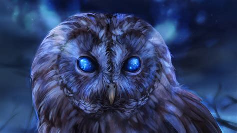Bared Owl Wallpaper,HD Birds Wallpapers,4k Wallpapers,Images ...