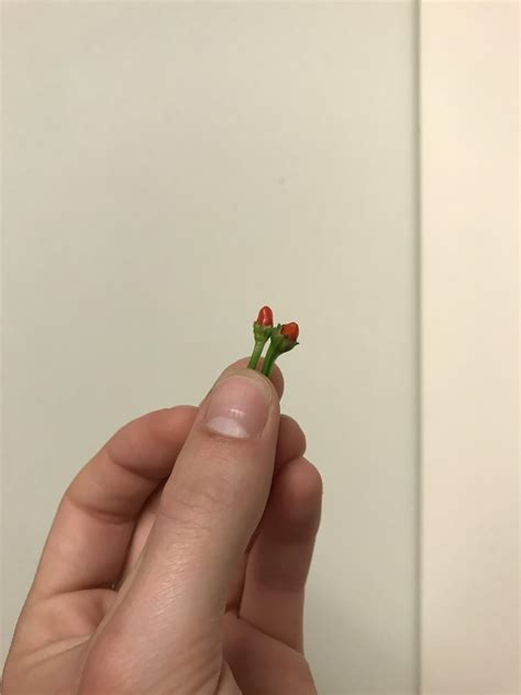 506 best Hot Lips images on Pholder | Mash, Tomi Lahren Hot and