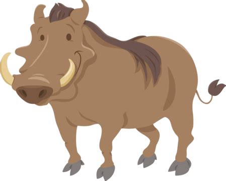 Warthog Clipart Images | Free Download | PNG Transparent Background ...