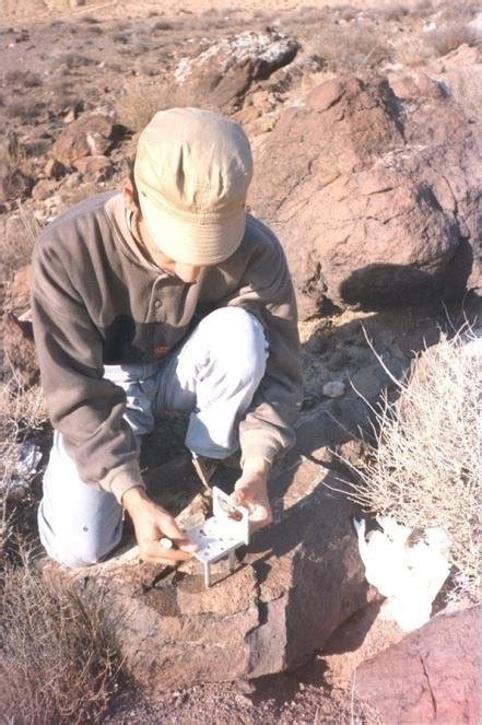 procedure  oriented block sampling qs sampling site leveled