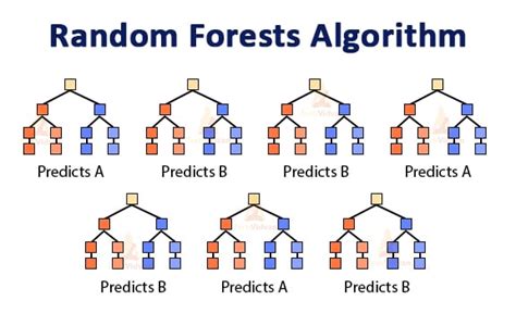 Top 10 Data Science Algorithms You Must Know About - TechVidvan