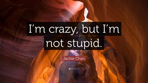You Mean I M Not Lazy Stupid Or Crazy The Classic 4