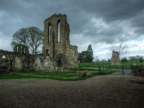 Pictures of Abbey Rain