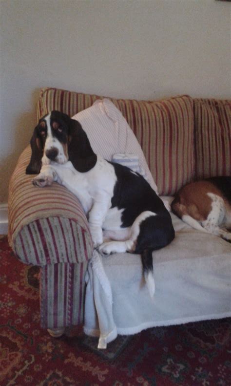 Danielle Houghton (@Magdon74) / Twitter