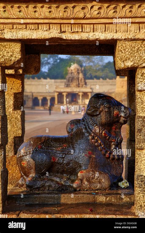 nandi statue   brihadeeswarar temple  thanjavur stock photo alamy