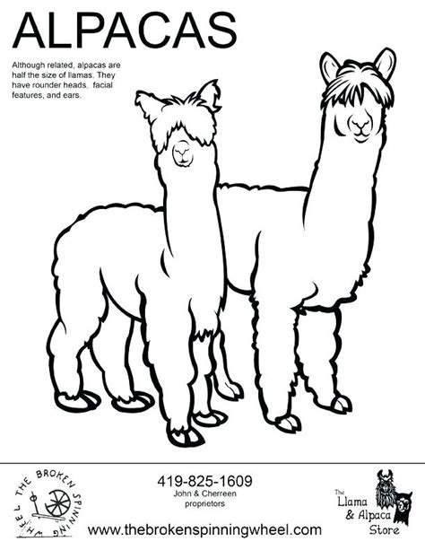 Llama Llama Red Pajama Coloring Page at GetDrawings | Free download