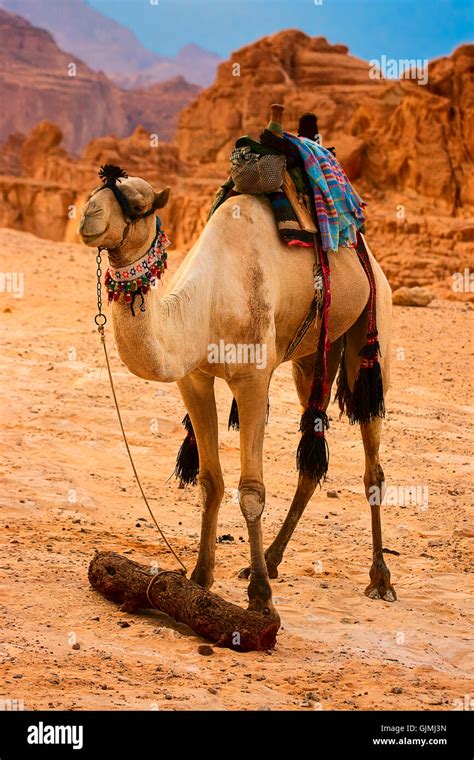mountains desert wasteland Stock Photo - Alamy